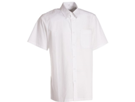 košile pánská krátký rukáv bílá